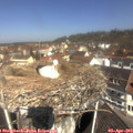 11_20-nest.jpg