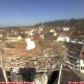 11_25-nest.jpg