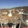 11_35-nest.jpg