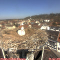 11_40-nest.jpg