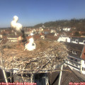 12_05-nest.jpg