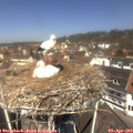 12_10-nest.jpg