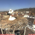 12_15-nest.jpg