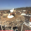 12_25-nest.jpg