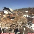 12_30-nest.jpg