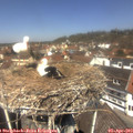 12_35-nest.jpg