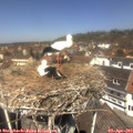 12_40-nest.jpg
