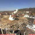 12_55-nest.jpg