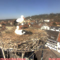13_10-nest.jpg