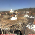 13_15-nest.jpg