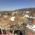 13_25-nest.jpg