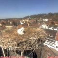 13_30-nest.jpg