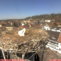 13_40-nest.jpg