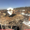 13_45-nest.jpg