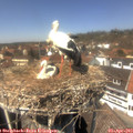 13_55-nest.jpg