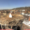 14_10-nest.jpg