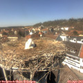 14_15-nest.jpg