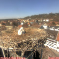 14_20-nest.jpg