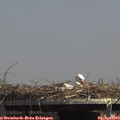 14_25-mast.jpg