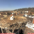 14_25-nest.jpg