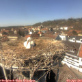 14_30-nest.jpg