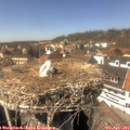 14_35-nest.jpg