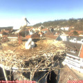 14_40-nest.jpg