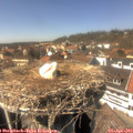 14_45-nest.jpg