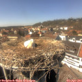 14_55-nest.jpg