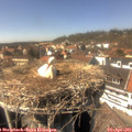 15_05-nest.jpg