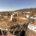 15_20-nest.jpg