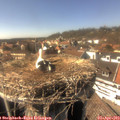 15_35-nest.jpg