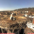 15_40-nest.jpg
