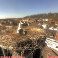 15_45-nest.jpg