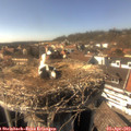 15_55-nest.jpg