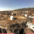 16_00-nest.jpg