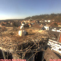 16_05-nest.jpg