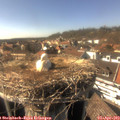 16_10-nest.jpg