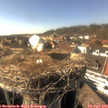 16_25-nest.jpg