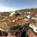 16_30-nest.jpg