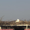 16_35-mast.jpg