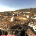 16_45-nest.jpg