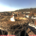 17_05-nest.jpg