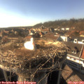 17_10-nest.jpg