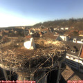 17_15-nest.jpg
