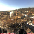 17_20-nest.jpg