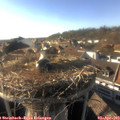 17_40-nest.jpg
