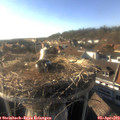17_45-nest.jpg