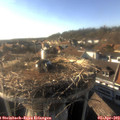 17_50-nest.jpg