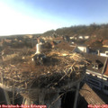 18_00-nest.jpg